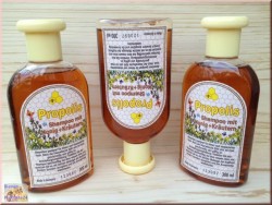 Propolis Shampoo mit Honig und Kräutern