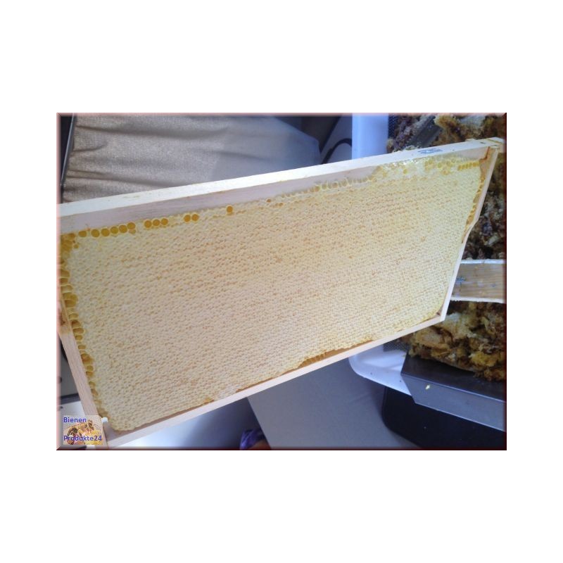 Miel de lavande nid d'abeille (environ 3 - 3,5 kg) Miel de lavande nid d'abeille (environ 3 - 3,5 kg)