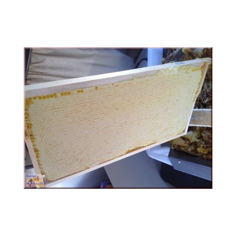 Robinia Acacia, Beekeeper Honeycomb 2018(ca.2,5-3kg)