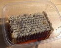 Chestnut honeycomb (sweet chestnut about 125 g)