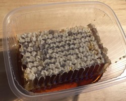Каштановые медовые соты (сладкий благородный каштан около 125 г)