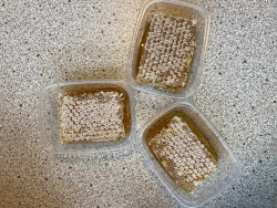 Linden honey in combs (approx. 125 g) honey harvest, July 2023 from Rhineland-Palatinate