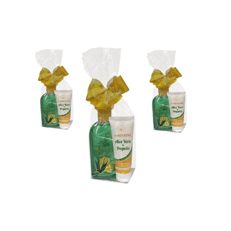 Geschenkset AloeVera Dusche, Aloe Vera Handcreme.