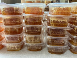 Summer blossom honey in combs harvested in July 2025