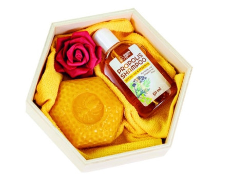 Geschenk Set Wabe 4 Honig Shampoo